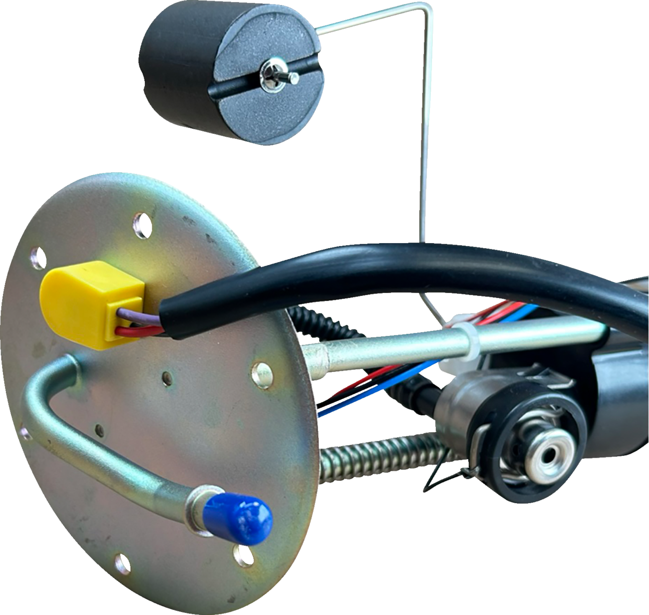 10090196_1.png