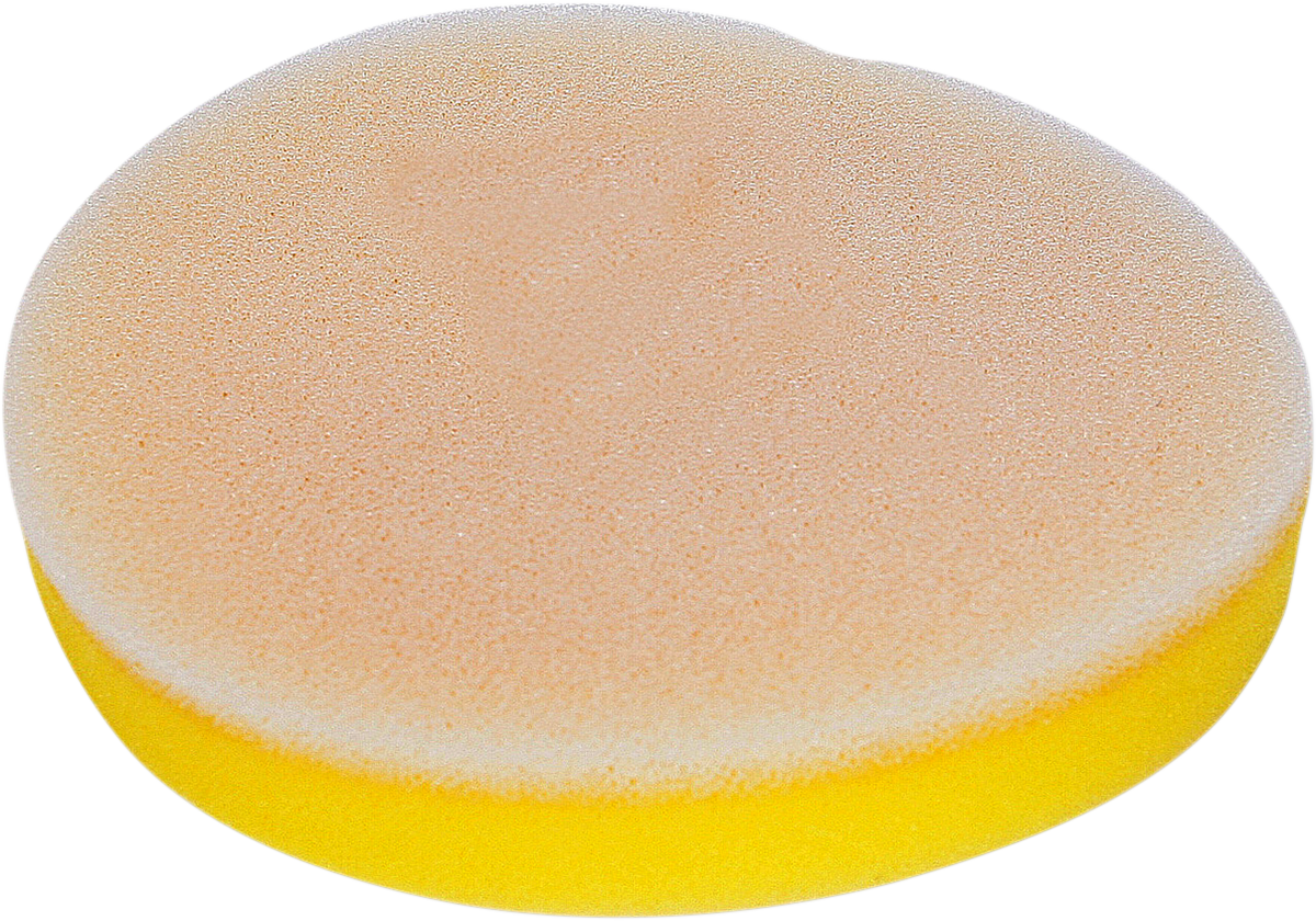 10110061_0.png
