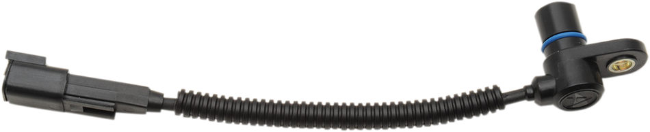 10220204_0.png