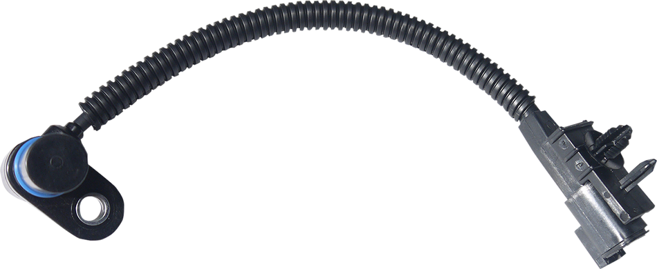 10220261_0.png