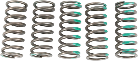 11310608_0.png