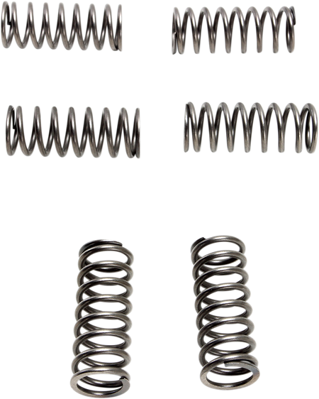 11312740_0.png