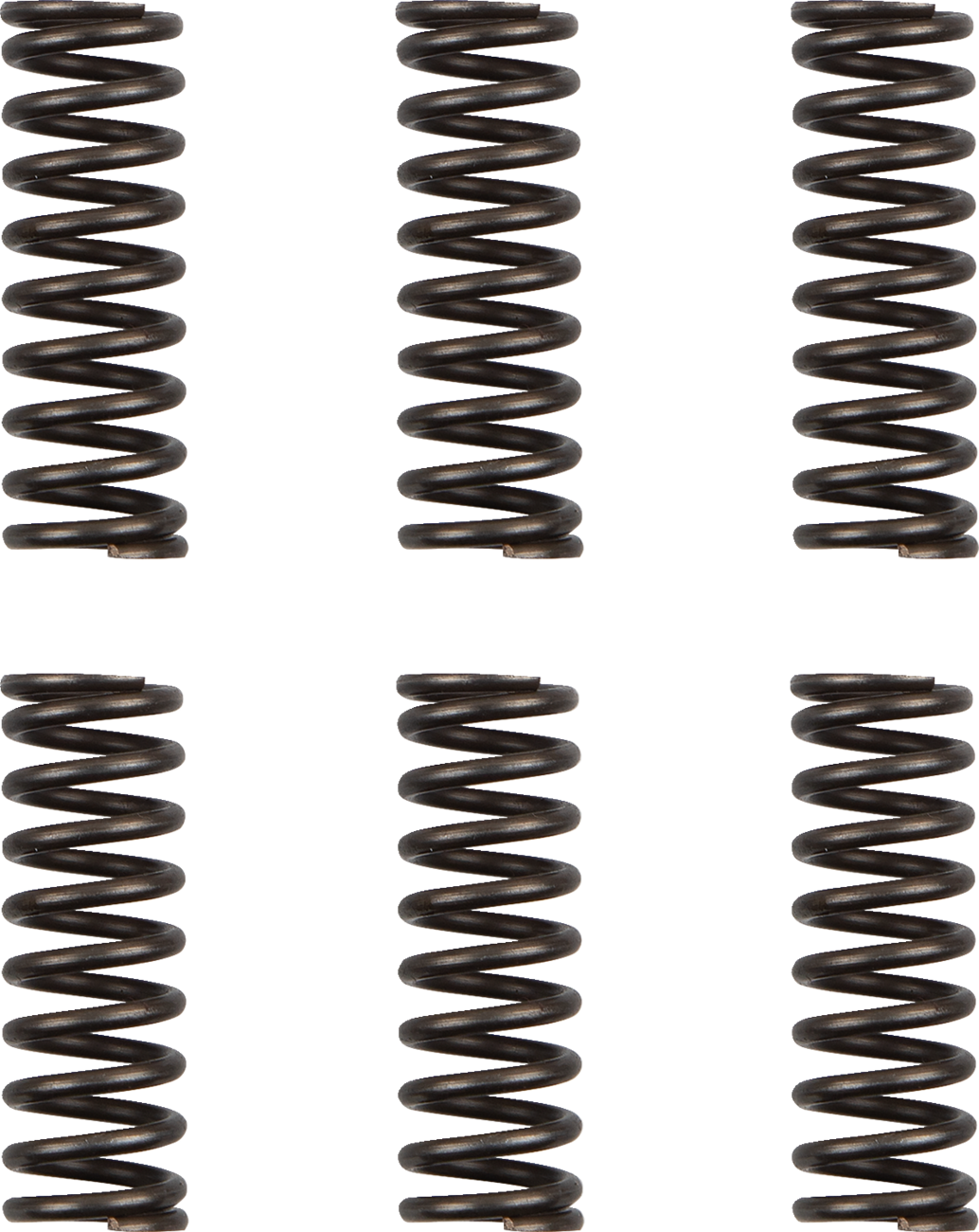 11313856_0.png