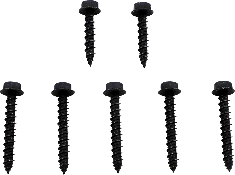 11321614_1.png