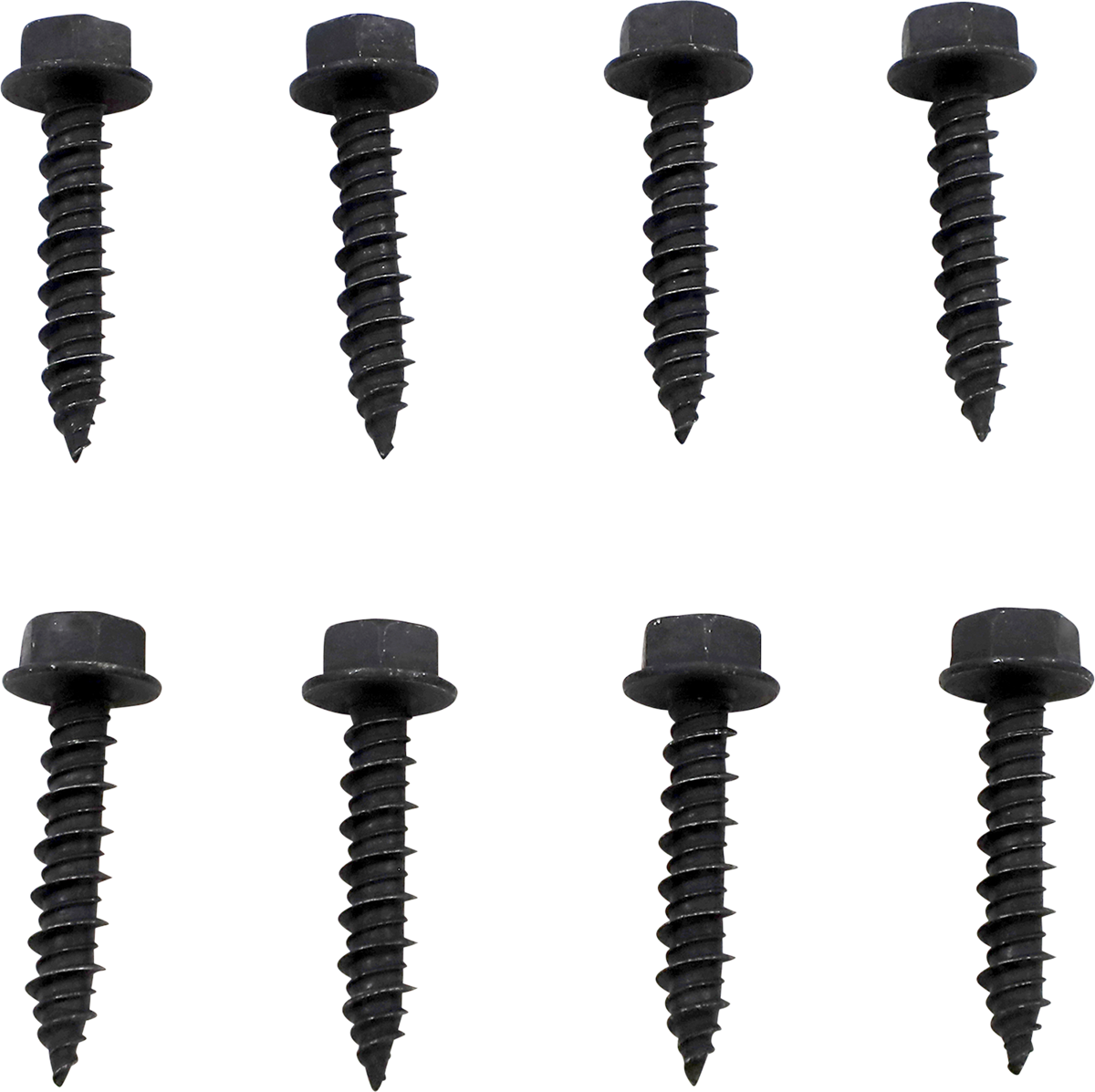 11321615_1.png
