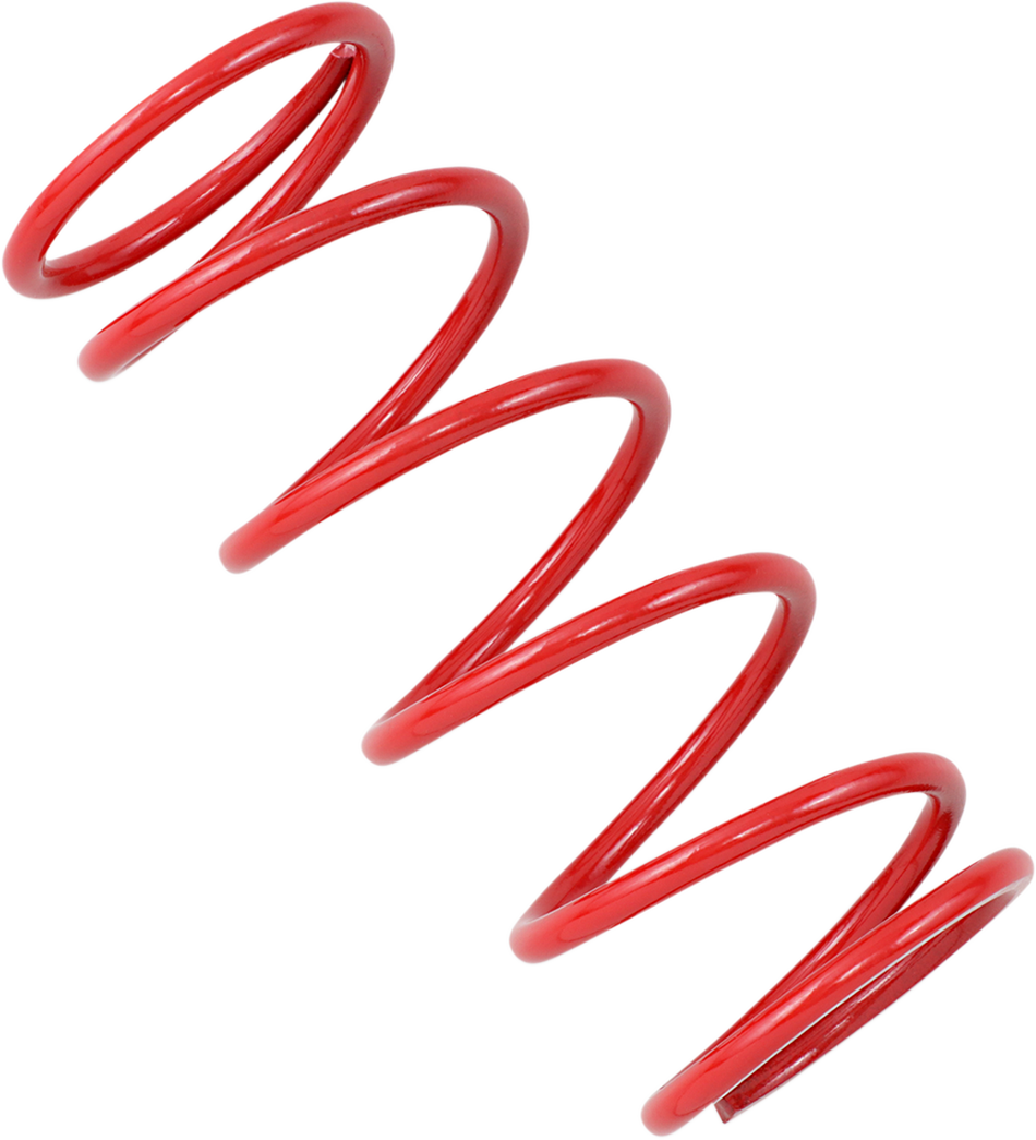 11400035_0.png