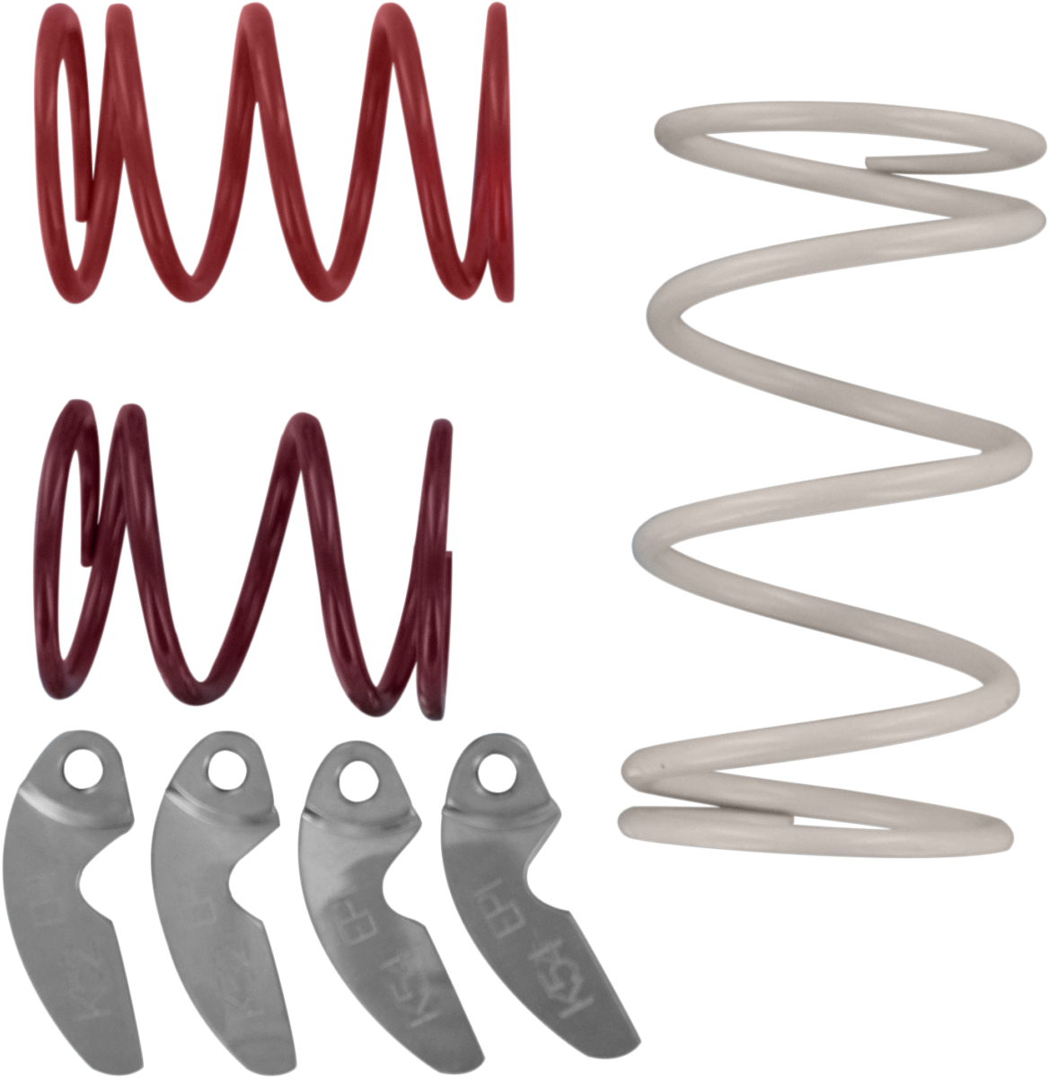 11400173_0.png