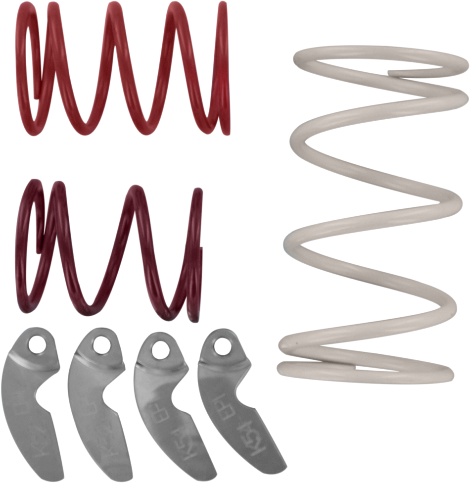 11400173_0.png