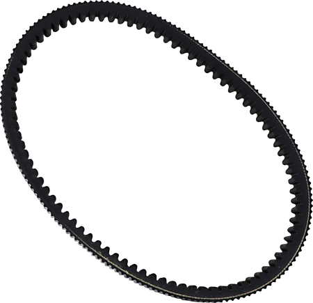 11420863_0.png