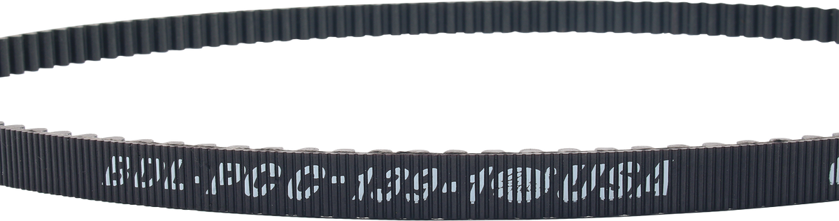 12040245_2.png
