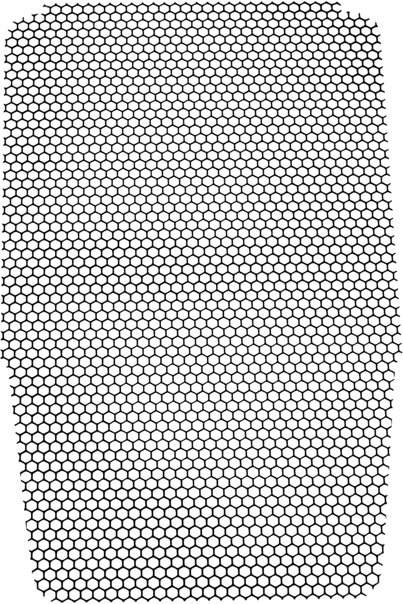 19040283_1.png
