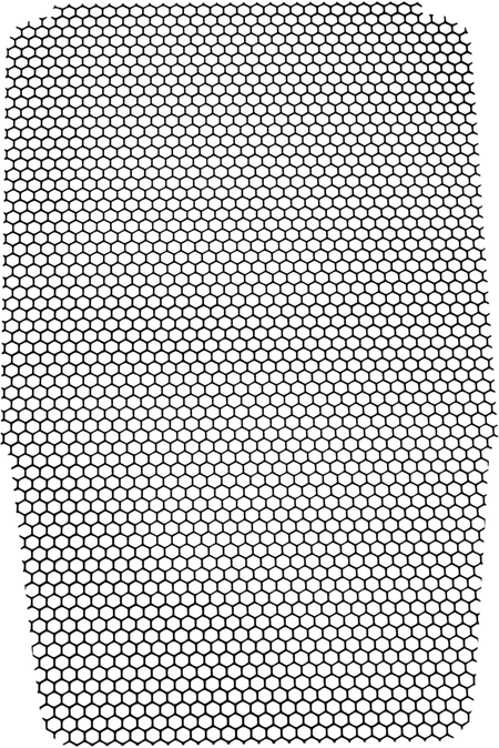19040283_2.png