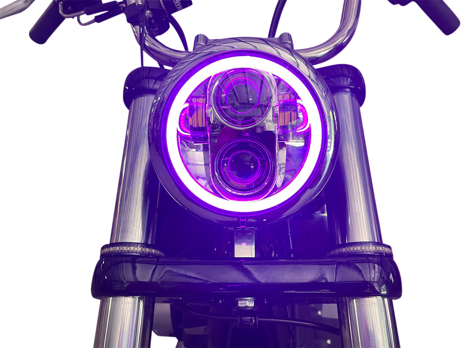 20012482_1.png