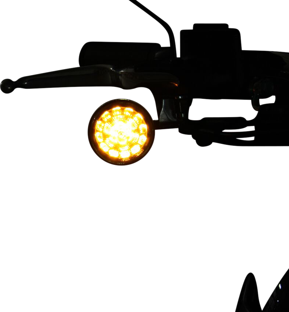 20201675_1.png