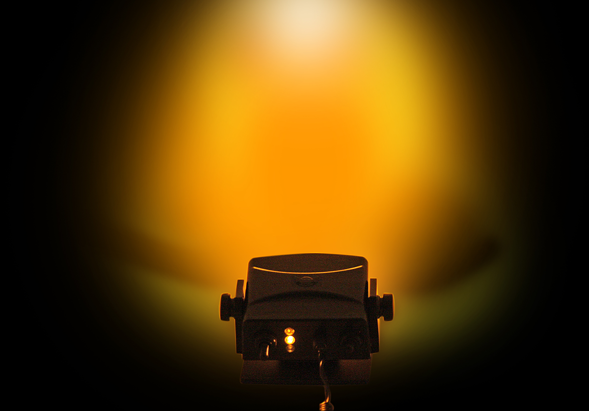 20402031_7.png