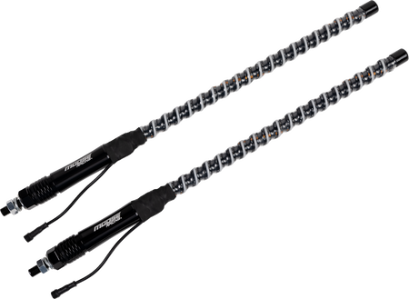 20403161_0.png