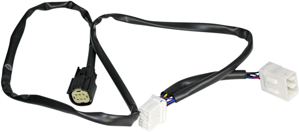 20500384_0.png