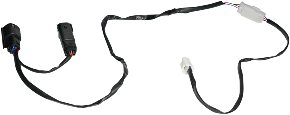 20500384_1.png