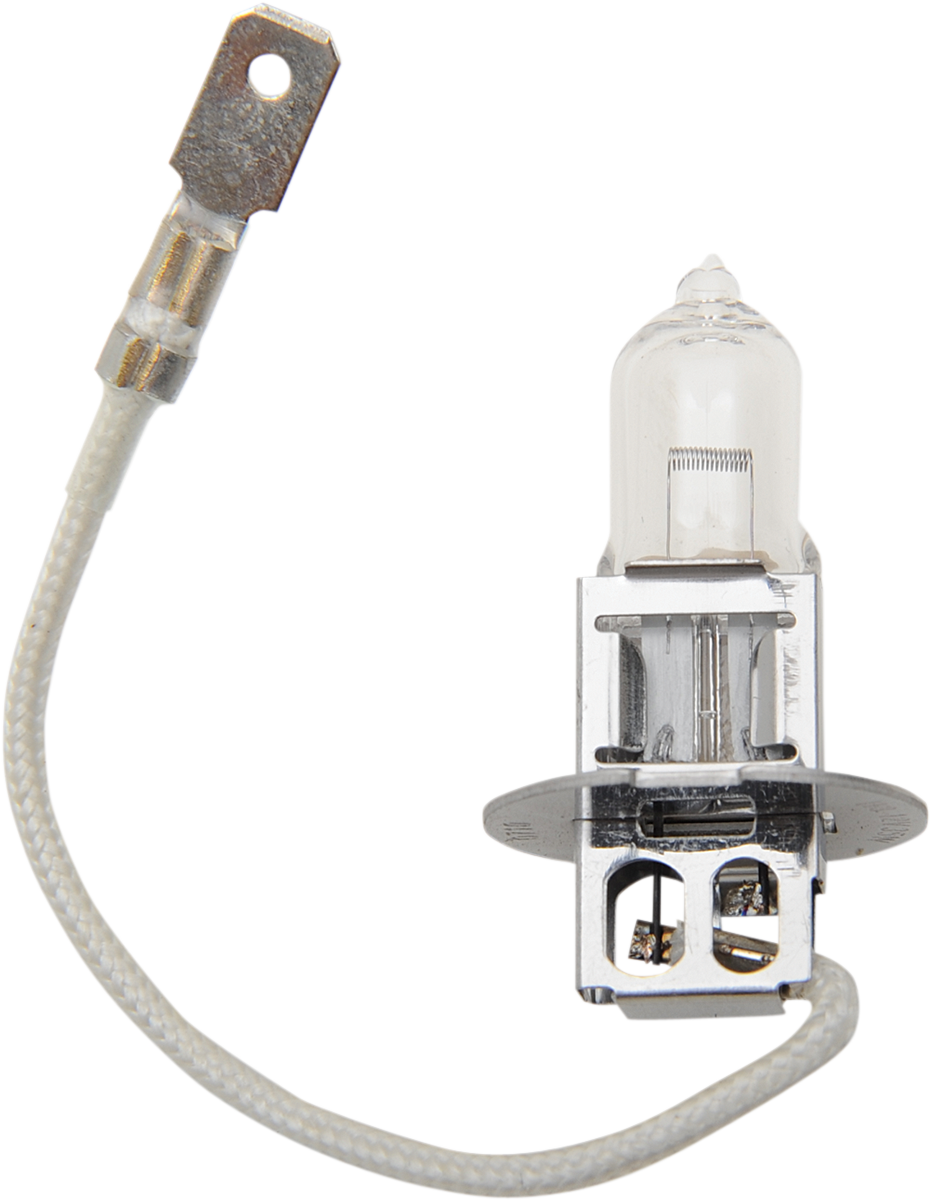 20600207_1.png