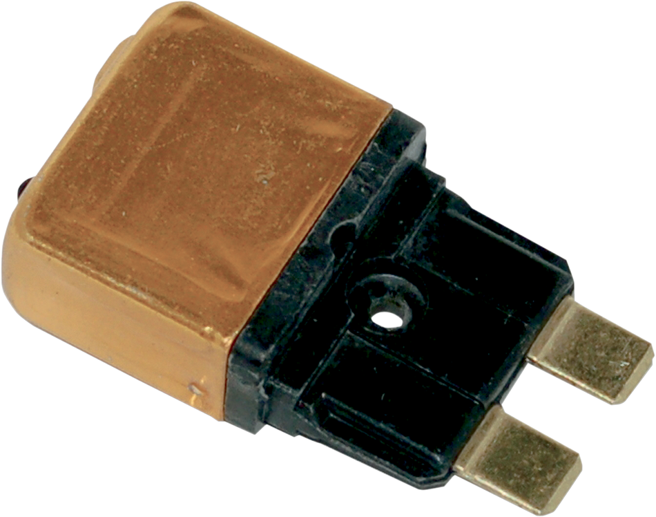 21300091_1.png