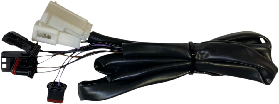 21300304_0.png