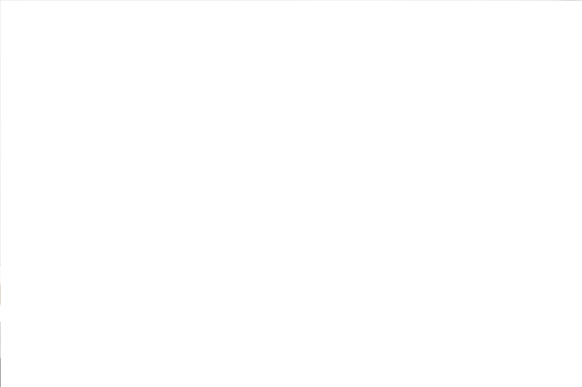 23170480_16.png