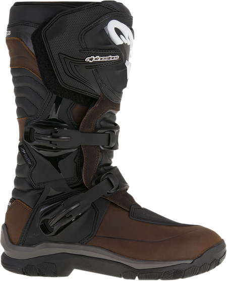 34101752_1.png