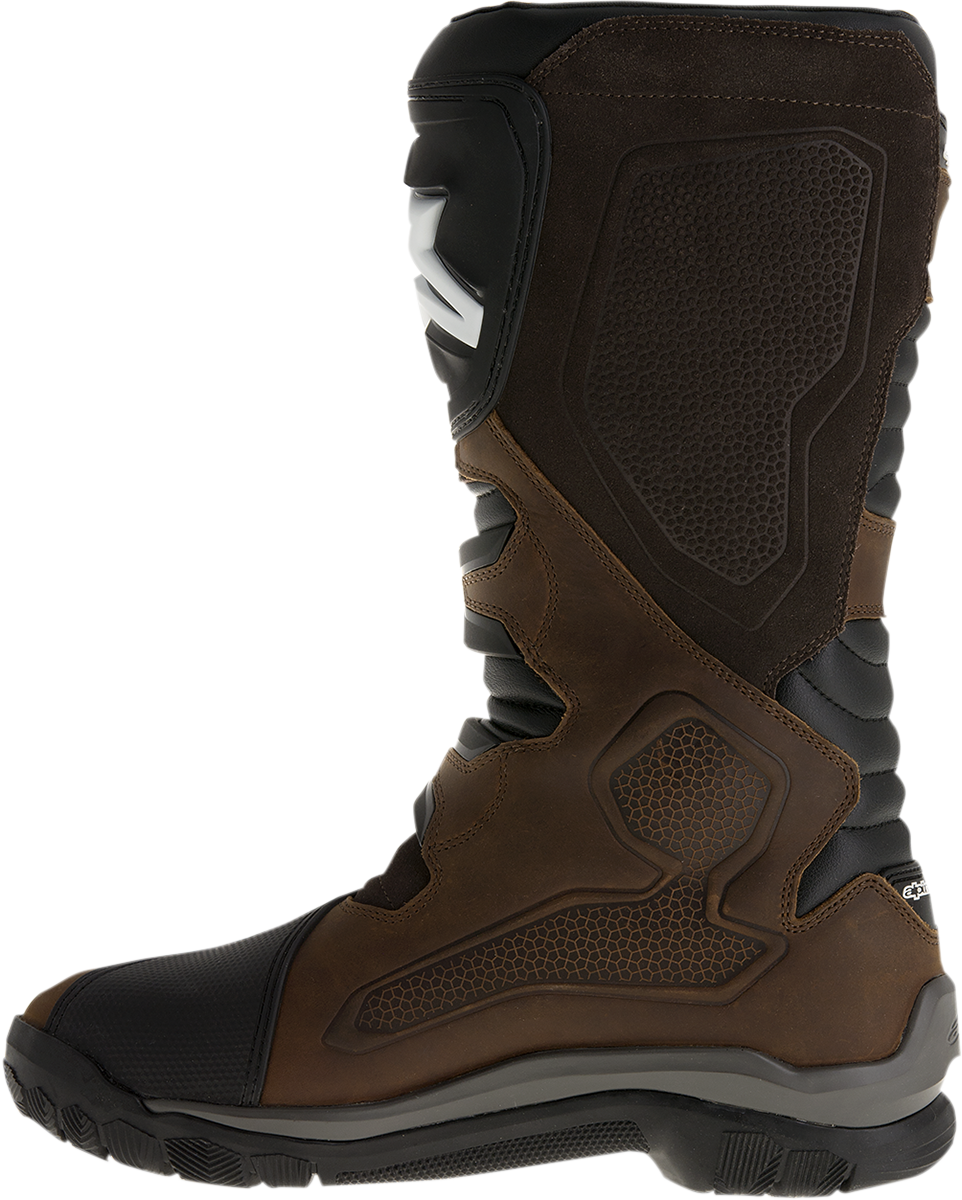 34101756_2.png