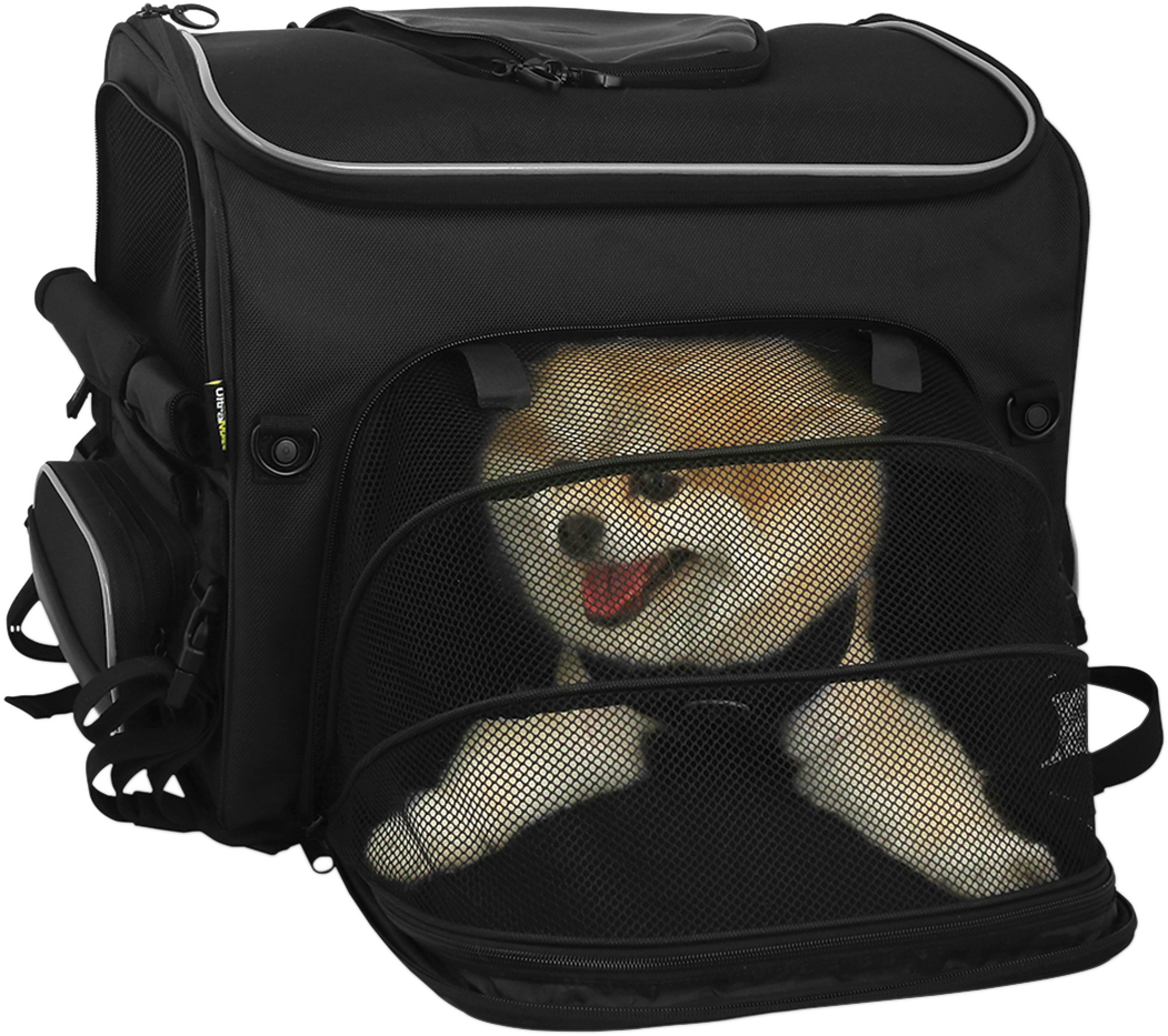 35150214_16.png