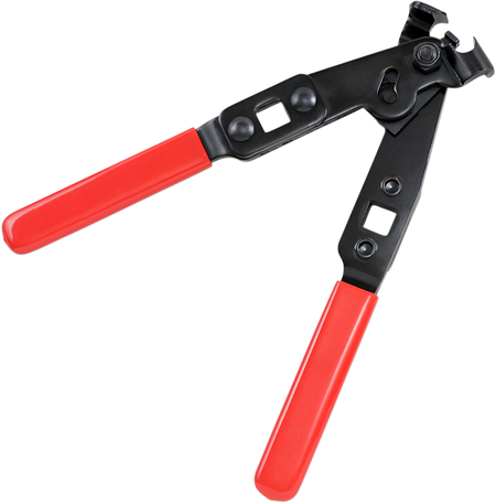 38500448_0.png