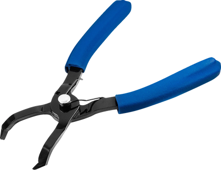 38500611_0.png