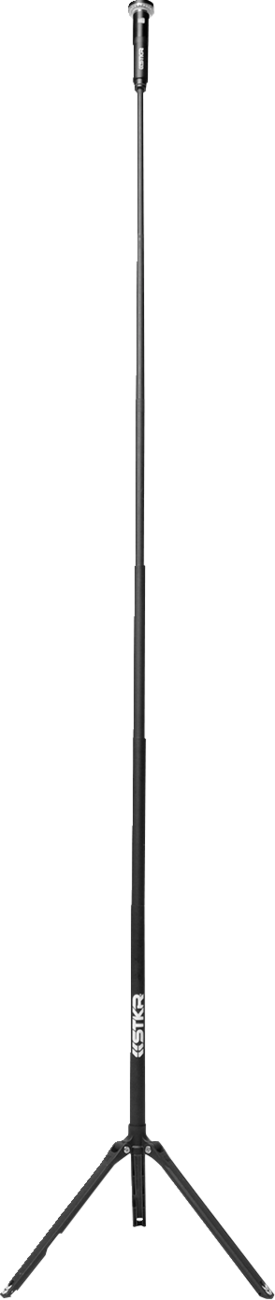 38500613_1.png