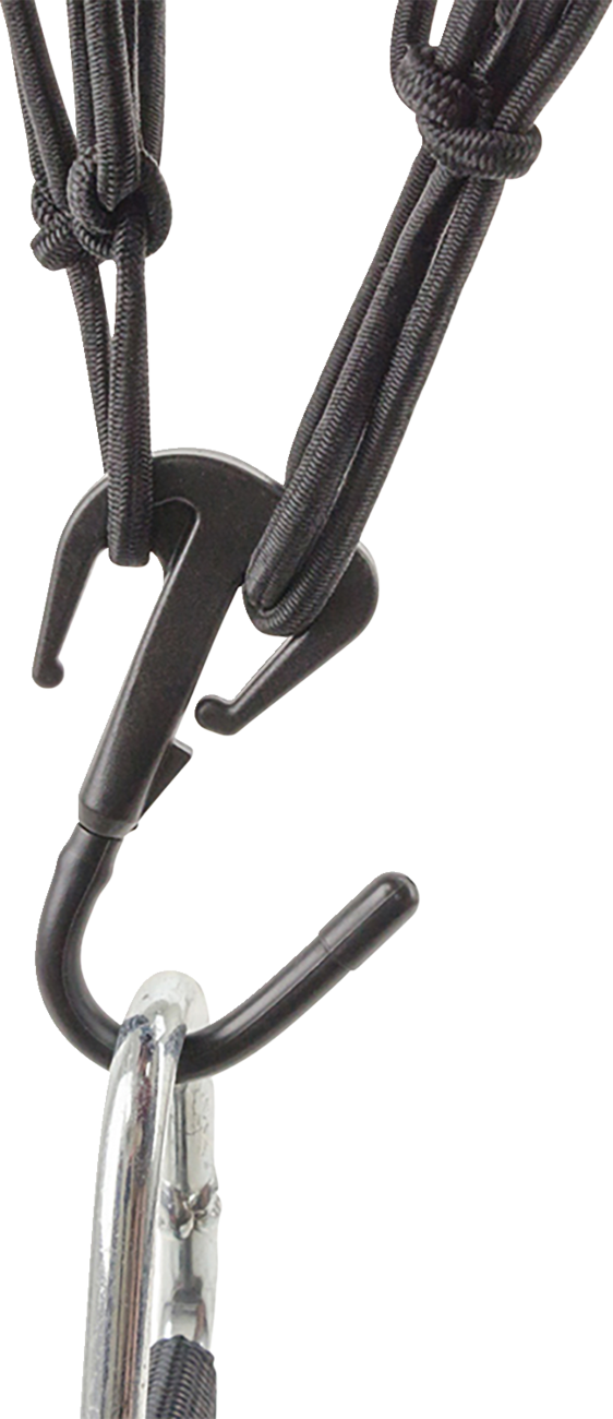 39200544_2.png