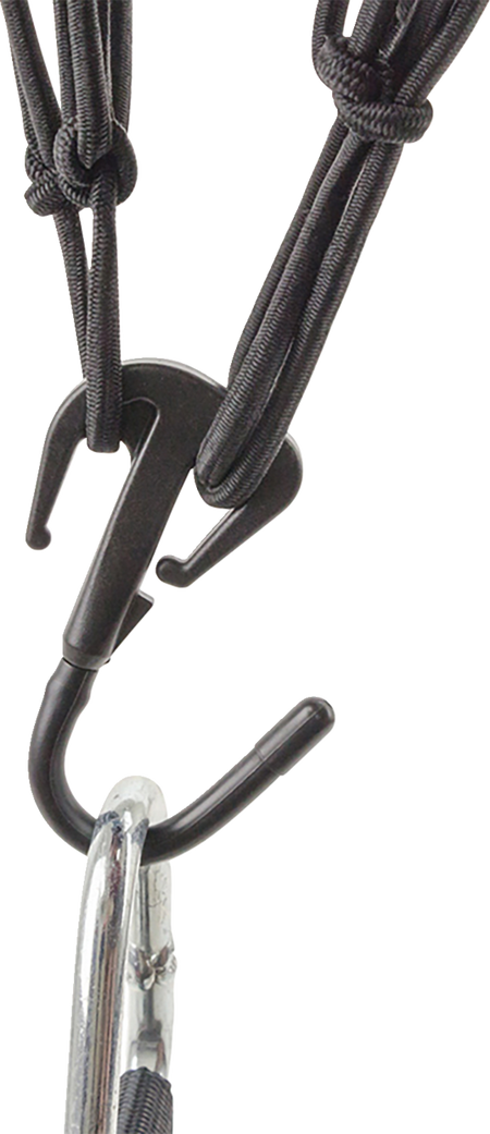 39200544_2.png
