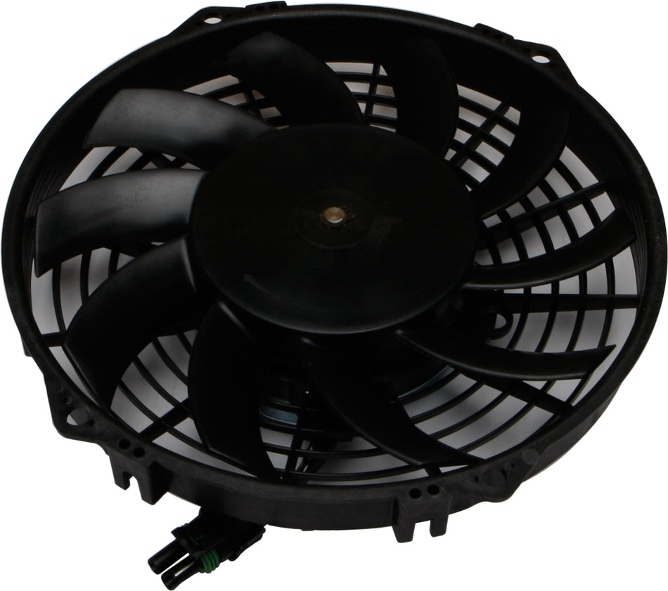 3b9f-572a5a31804d3.jpg