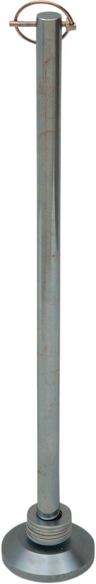 45010878_1.png