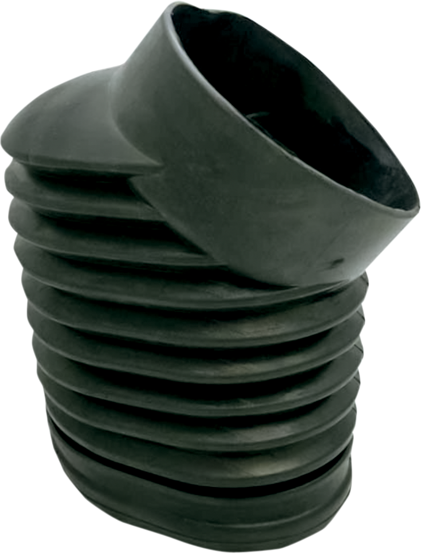 48500053_1.png