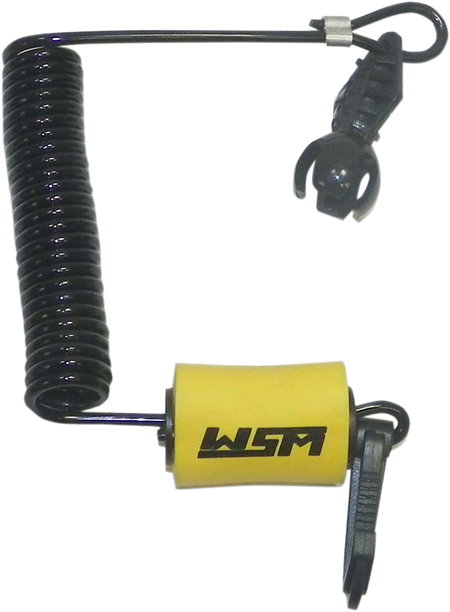 48500062_0.png