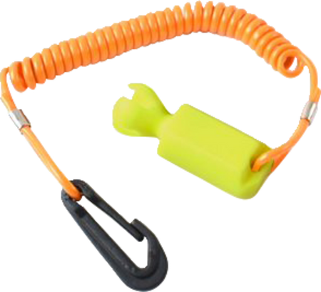 48500082_0.png