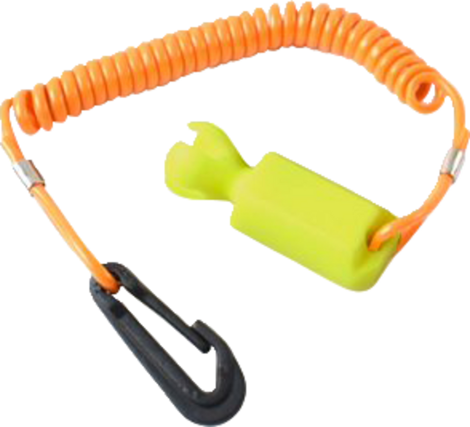 48500082_1.png