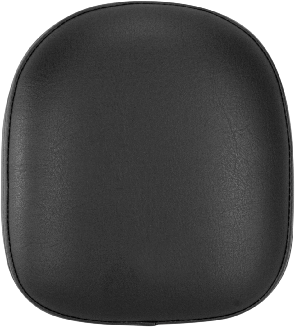 BLV25022_0.png
