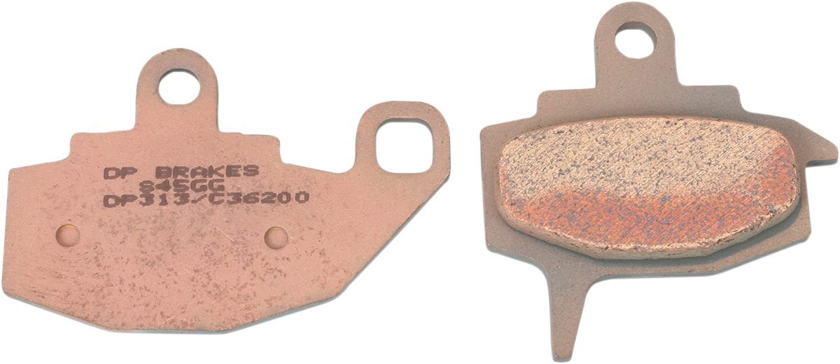 DP313_0.png
