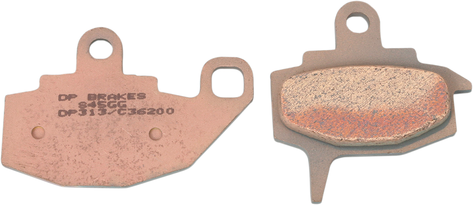DP313_0.png