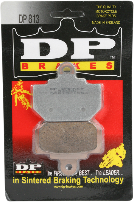 DP813_1.png
