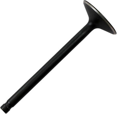 DS198806_0.png
