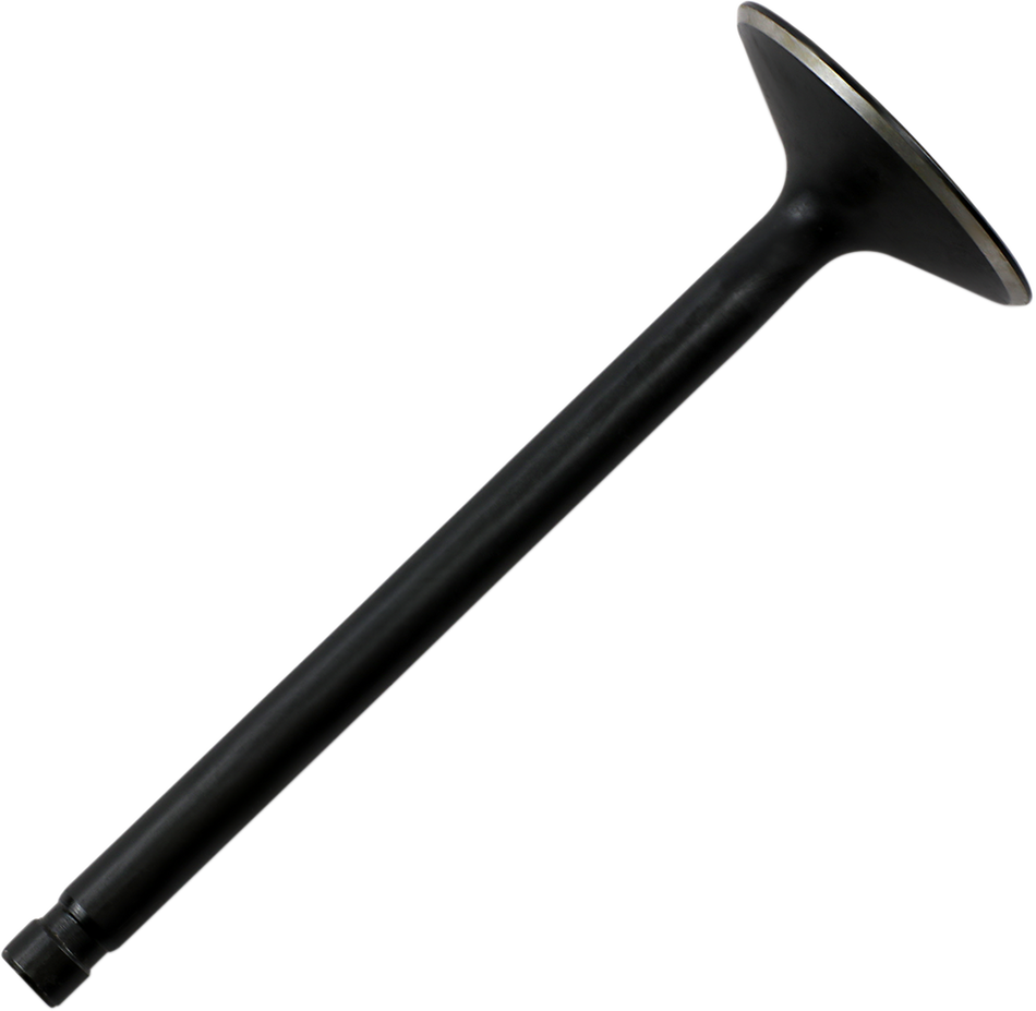 DS198806_0.png