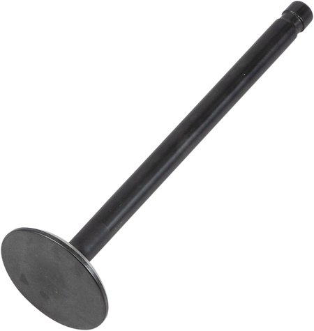 DS198807_0.png