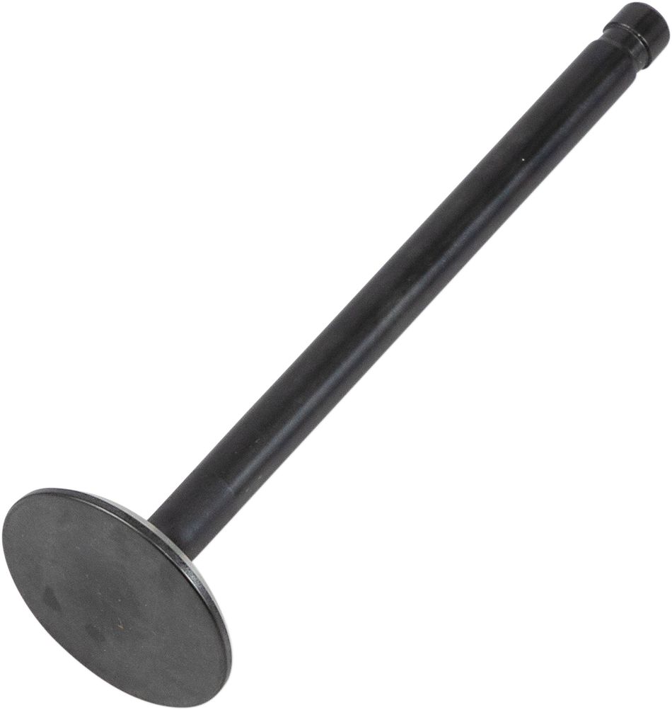 DS198807_0.png