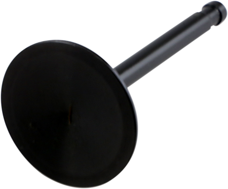 DS198962_0.png