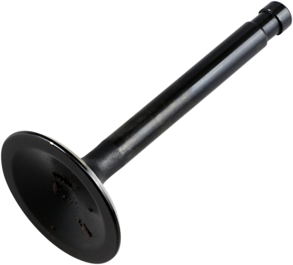 DS198970_0.png